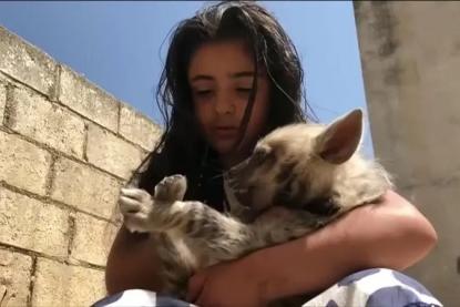 بالفيديو: ابنة الـ9 سنوات تروّض 5 ضباع و6 ذئاب والهدف إنساني 